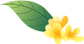 15.png