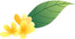 16.png